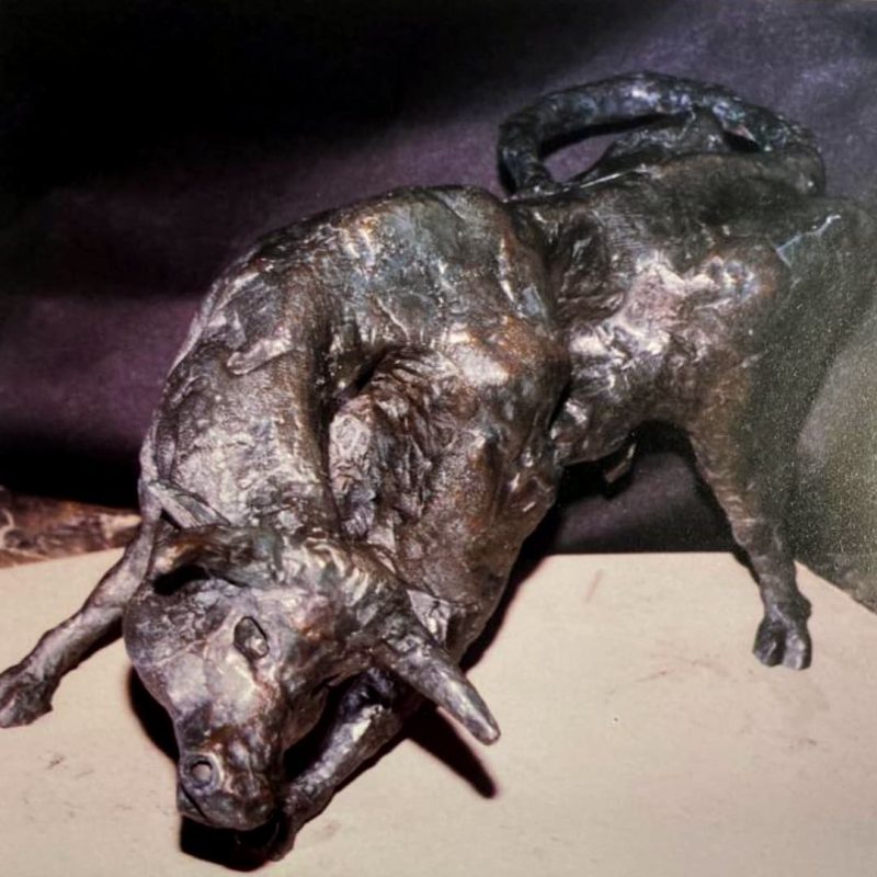 TORO
